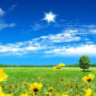 Spring scenes wallpaper