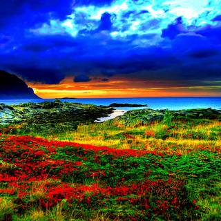 Colorful nature wallpaper