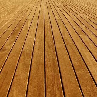 Bamboo background image