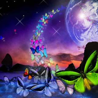 Butterfly background pictures