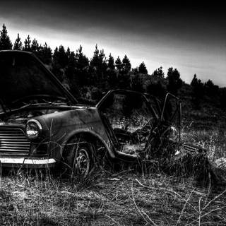 HD wallpaper black and white