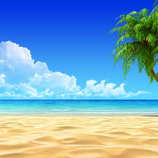 Tropical backrounds
