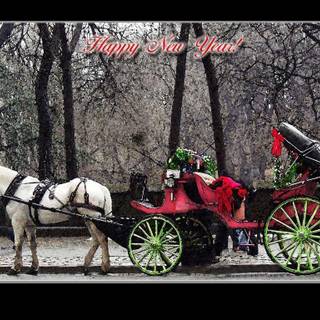 Images of new wallpaper