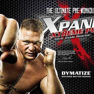 Brock Lesnar WWE 2015 wallpaper 1024x768