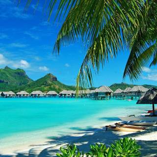Exotic beach wallpaper