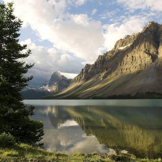 Trout fishing wallpaper