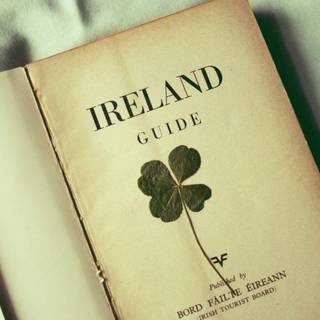 Four leaf clover wallpaper