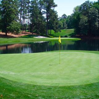 Free 2015 wallpaper of Augusta National