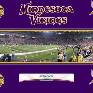 Minnesota Vikings backgrounds