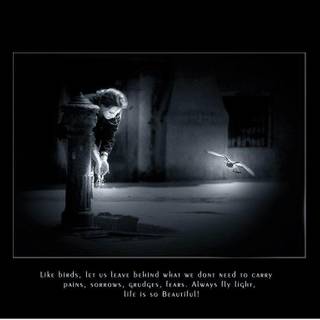 Funny motivational wallpaper