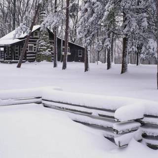 Snow desktop backgrounds