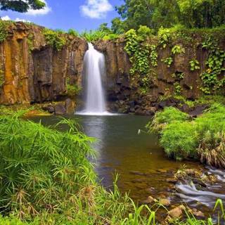 Download desktop backgrounds