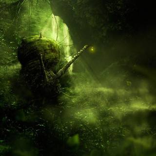 Dark forest wallpaper