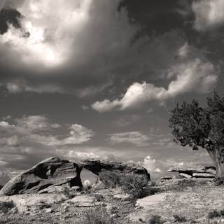 Black and white HD wallpaper