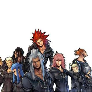 Organization 13 wallpaper