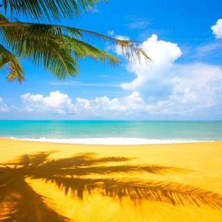Hawaii beaches wallpaper