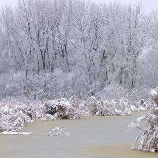 Free winter pictures wallpaper
