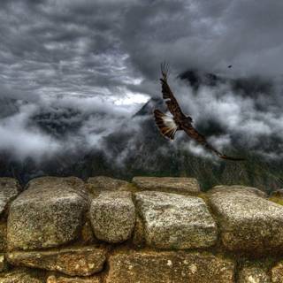 Wallpaper for desktop background HD