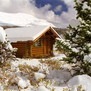 Winter wallpaper free