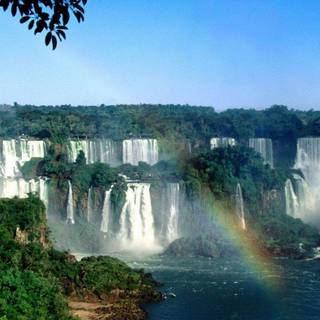 Amazon rainforest wallpaper