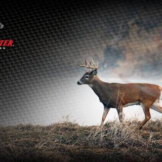 Deer hunting wallpaper for computer