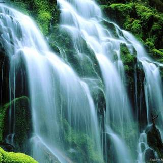 Nature wallpaper gallery