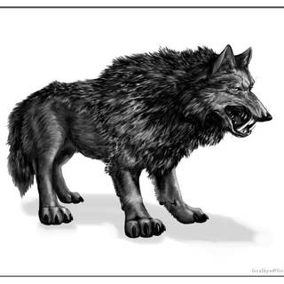Dire wolf pictures