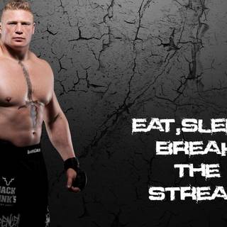 Brock Lesnar wallpaper 2015