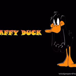 Daffy Duck wallpaper