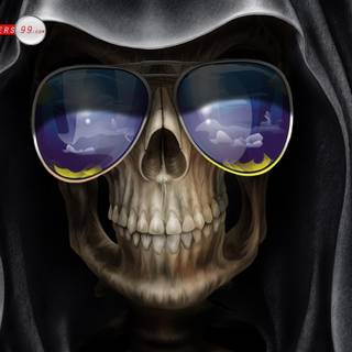 Funny wallpaper pictures free