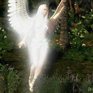 Angel wallpaper free