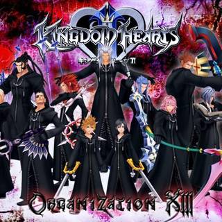 Organization 13 wallpaper