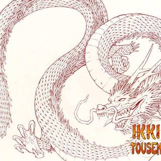 Ikki Tousen wallpaper