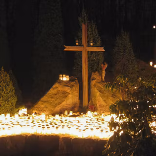 Picture for christmas