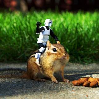 HD funny photo download