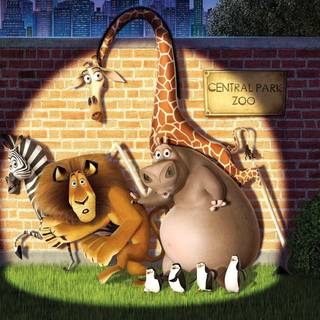 Madagascar wallpaper