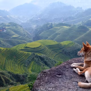 Landscape desktop wallpaper