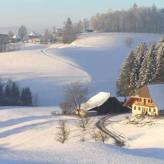 Winter scenery pictures