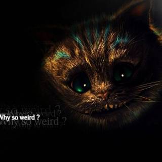 Cheshire Cat wallpaper