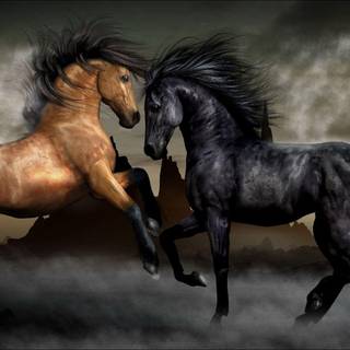 Horses wallpaper