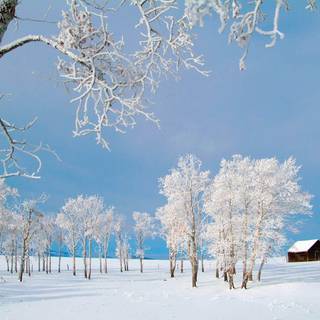 Winter computer backgrounds