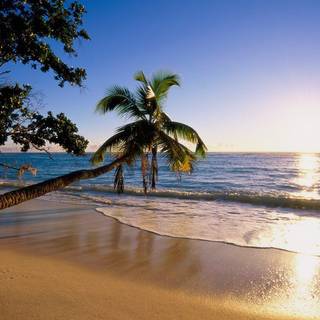 Beach desktop background