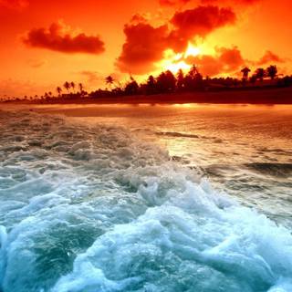 Free 2560x1440 wallpaper