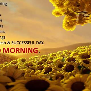 Good morning HD wallpaper download