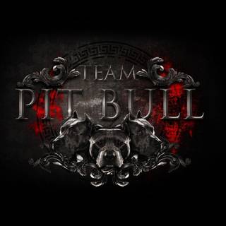 Pitbull backgrounds