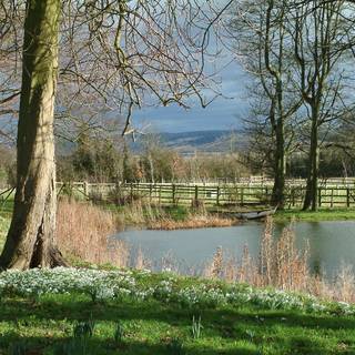 Free springtime wallpaper