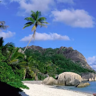 Download PC backgrounds