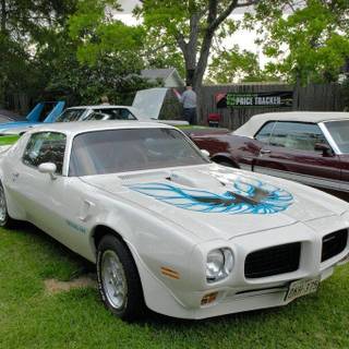 Pontiac trans am pictures