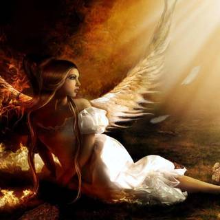 Fantasy angel