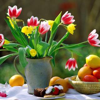 Wallpaper spring flowers